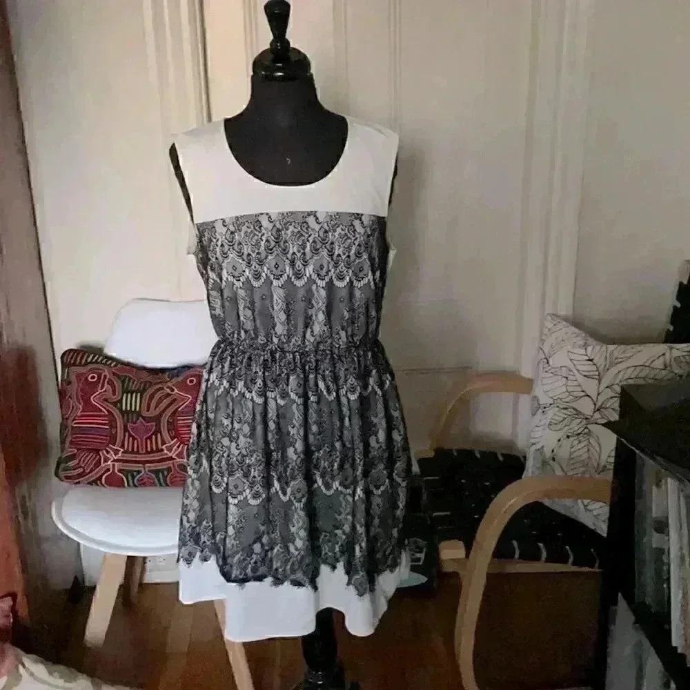 Elle lace fit and flare elastic waist dress large